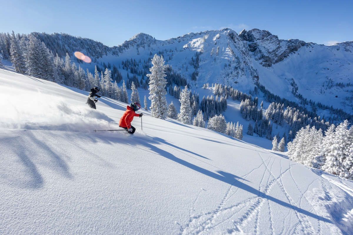 Two skiers carve fresh powder down a snow-covered mountain, with a bright blue sky and snow-dusted trees.