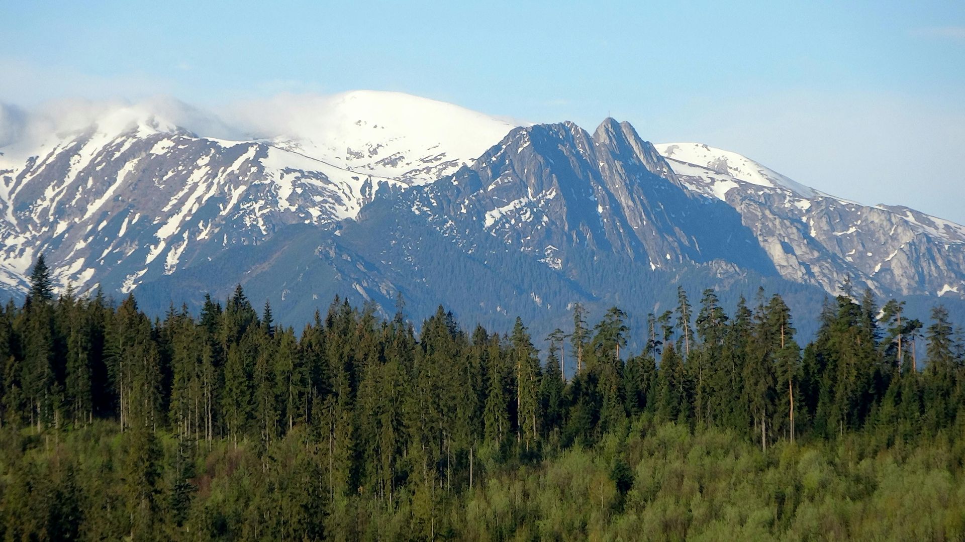 Snow-capped mountains rise above a dense evergreen forest under a blue sky.