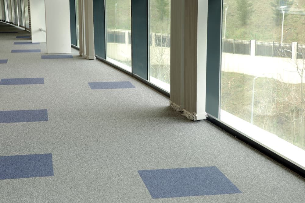 A Hallway with A Lot of Windows — More on the Floor in Barrack Heights, NSW