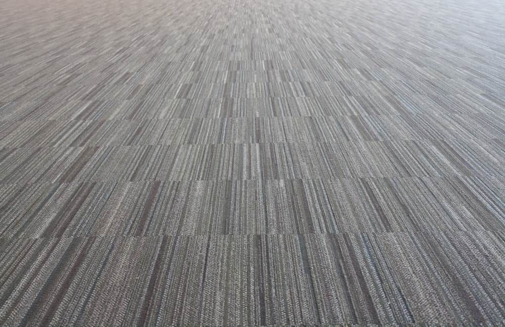 A Close up Of a Carpet Floor in A Room — More on the Floor in Barrack Heights, NSW