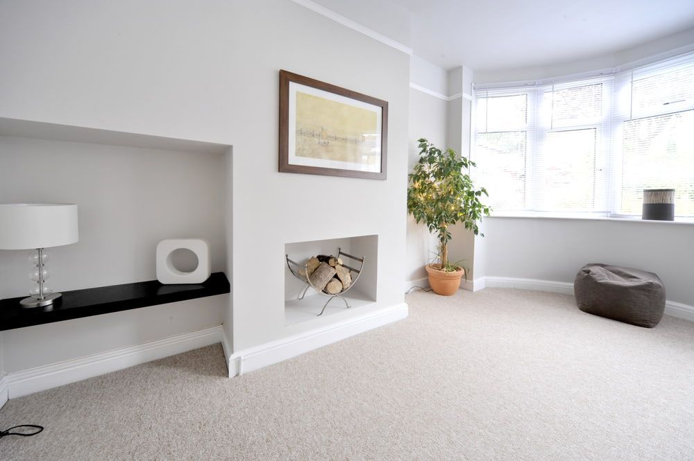 A Living Room with A Fireplace and A Picture on The Wall — More on the Floor in Barrack Heights, NSW