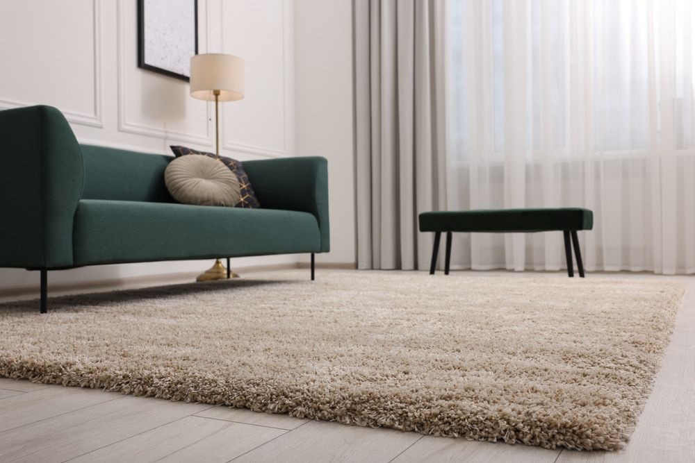 A Living Room with A Couch, Rug, Lamp and Bench — More on the Floor in Barrack Heights, NSW