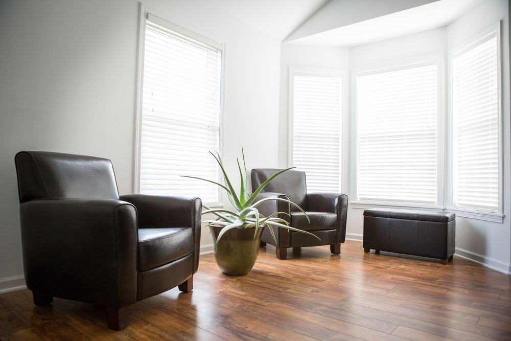 A Living Room with Two Chairs and A Potted Plant — More on the Floor in Barrack Heights, NSW