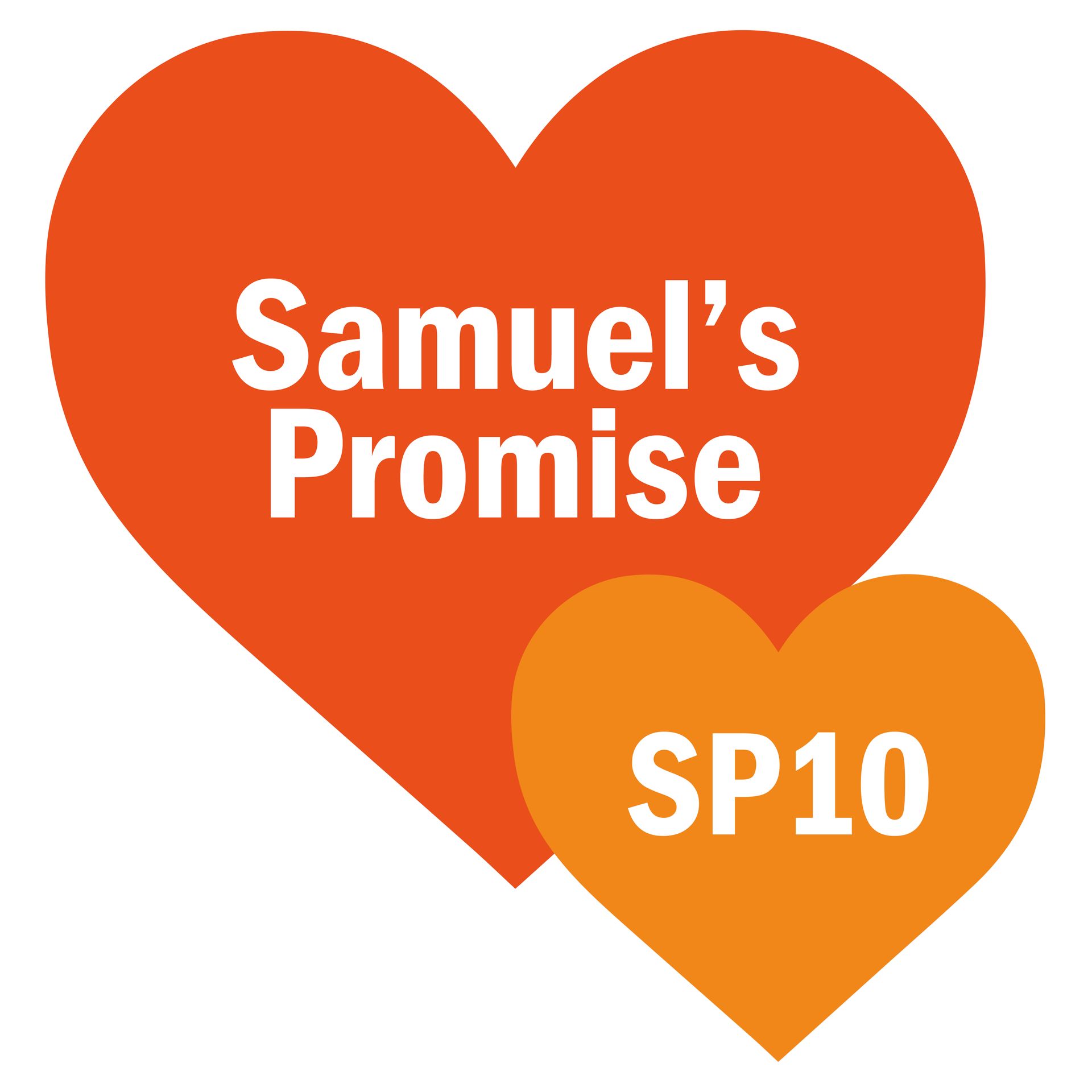 Samuel's Promise