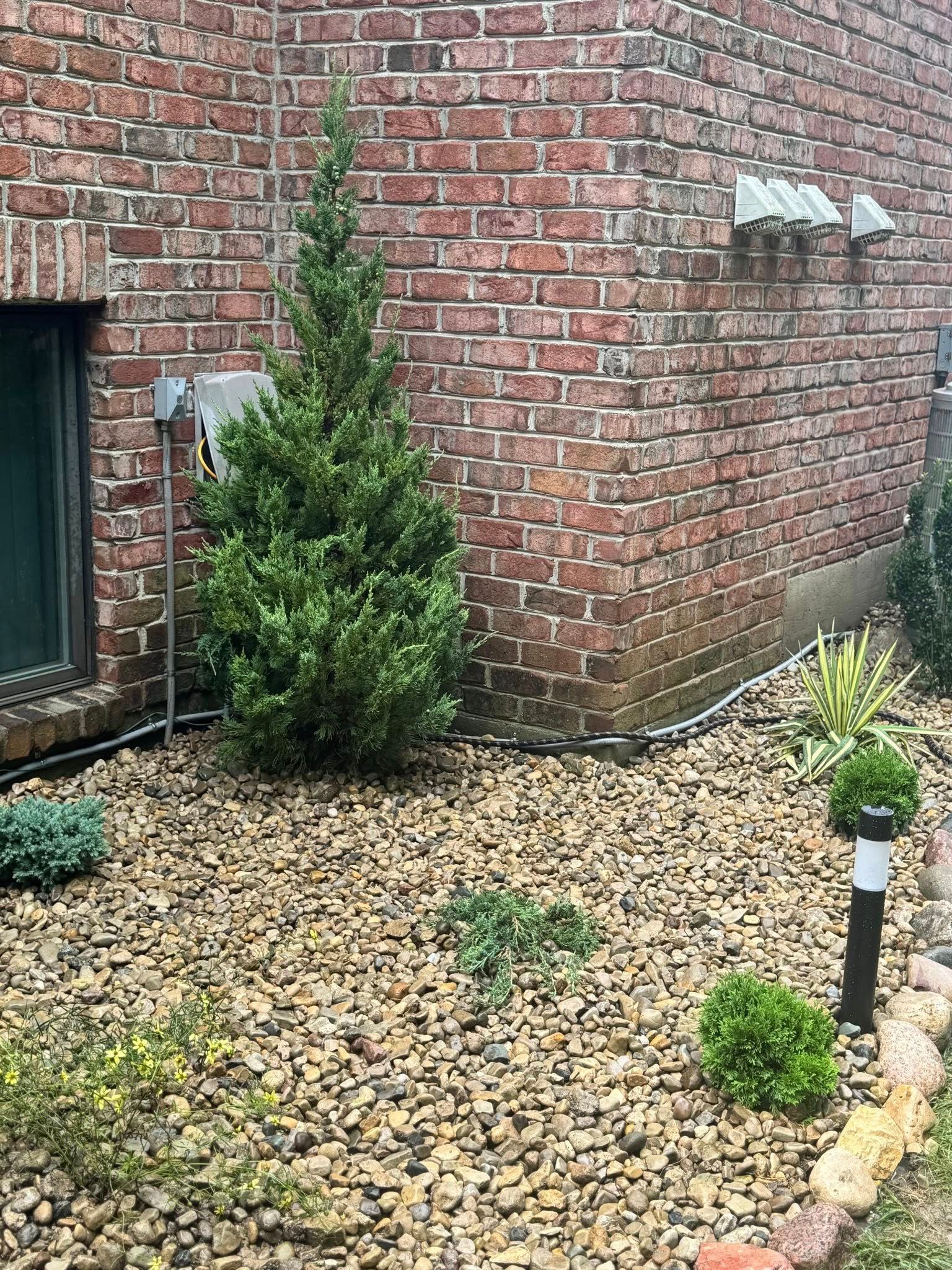 Green shrubs and trees in a rock garden bed next to a red brick building.