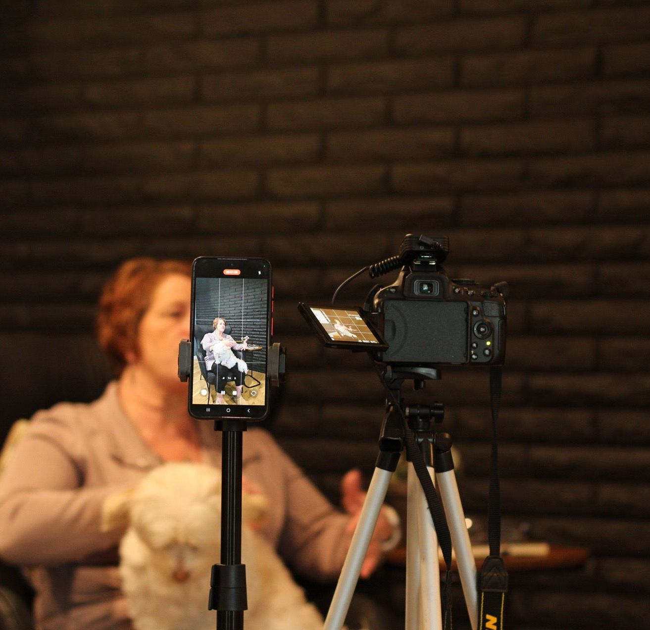 Video VIP Content Day
