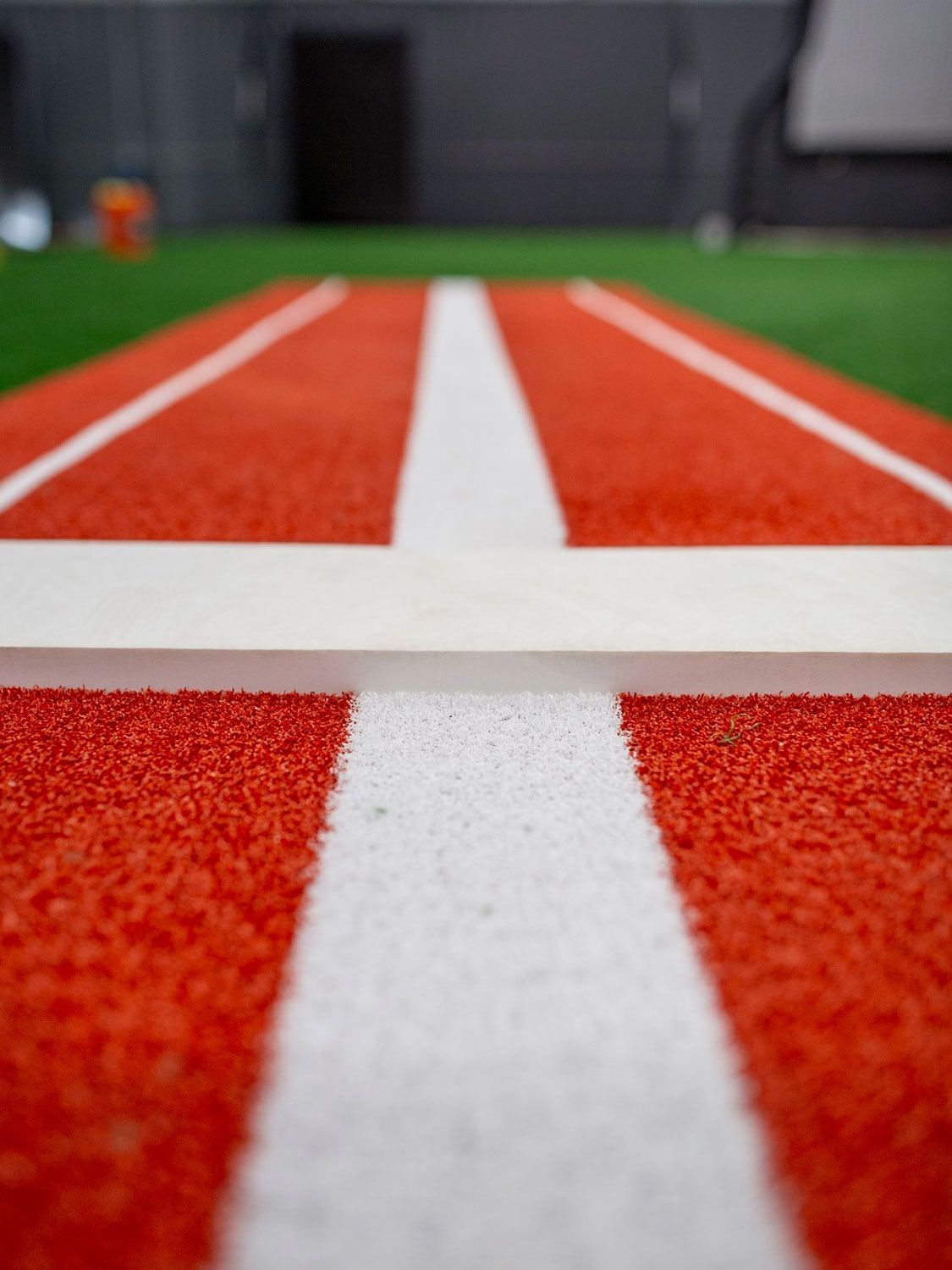 The turf at Home Turf. 