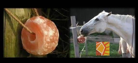 <動物飼用鹽塊> 玫瑰鹽塊 重量約4.5~5公斤