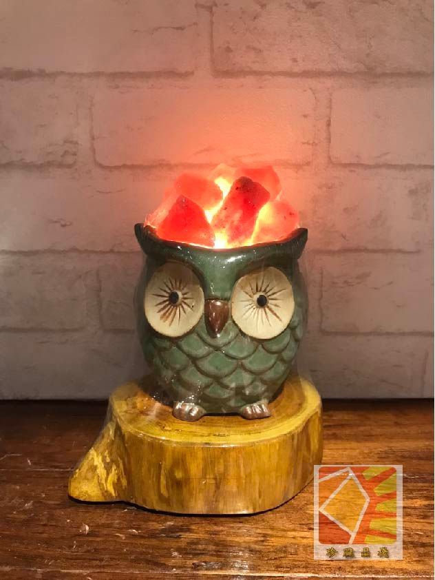 幸運貓頭鷹小夜燈飾