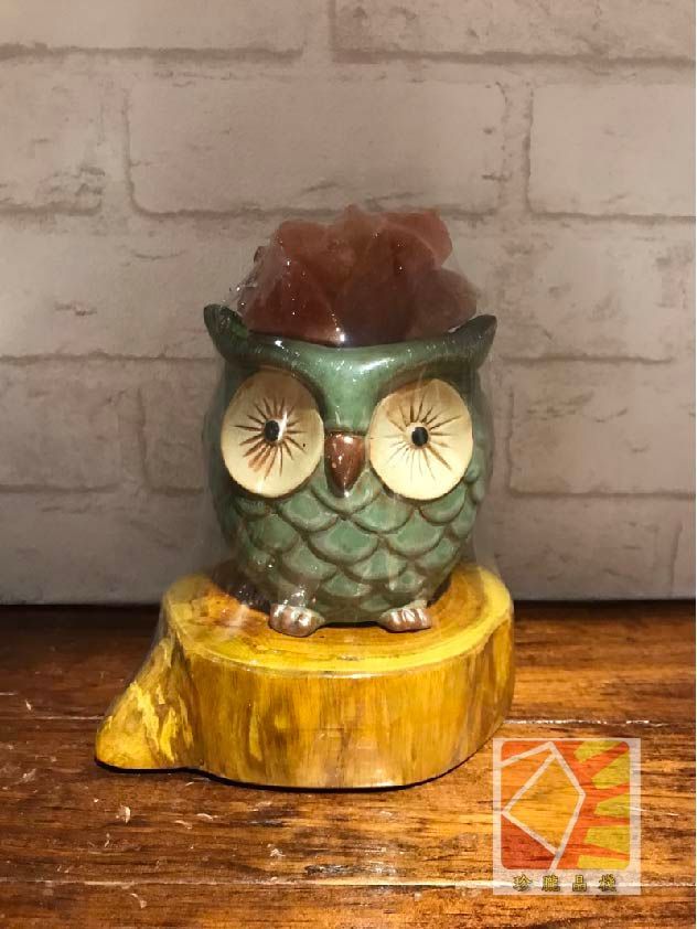 幸運貓頭鷹小夜燈飾