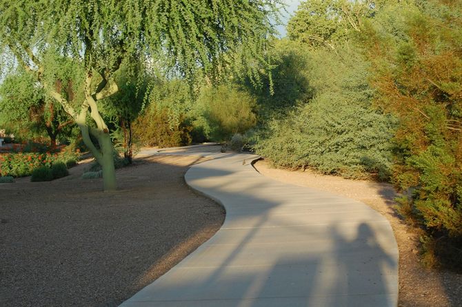 Curving concrete path through a desert garden with trees and shrubs in warm sunlight