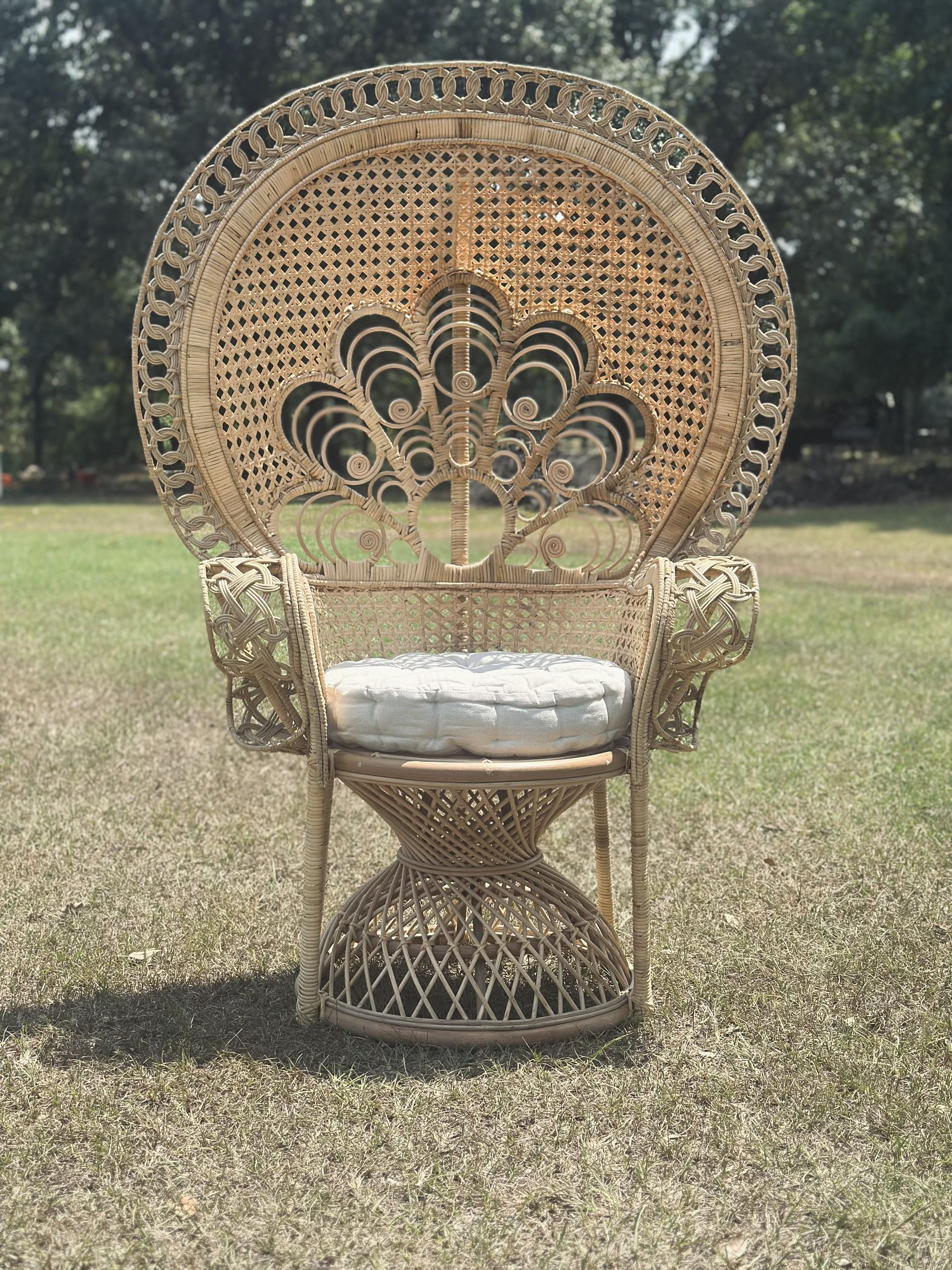 Wicker peacock chair with a round back, armrests, and a cushion on a grassy lawn.