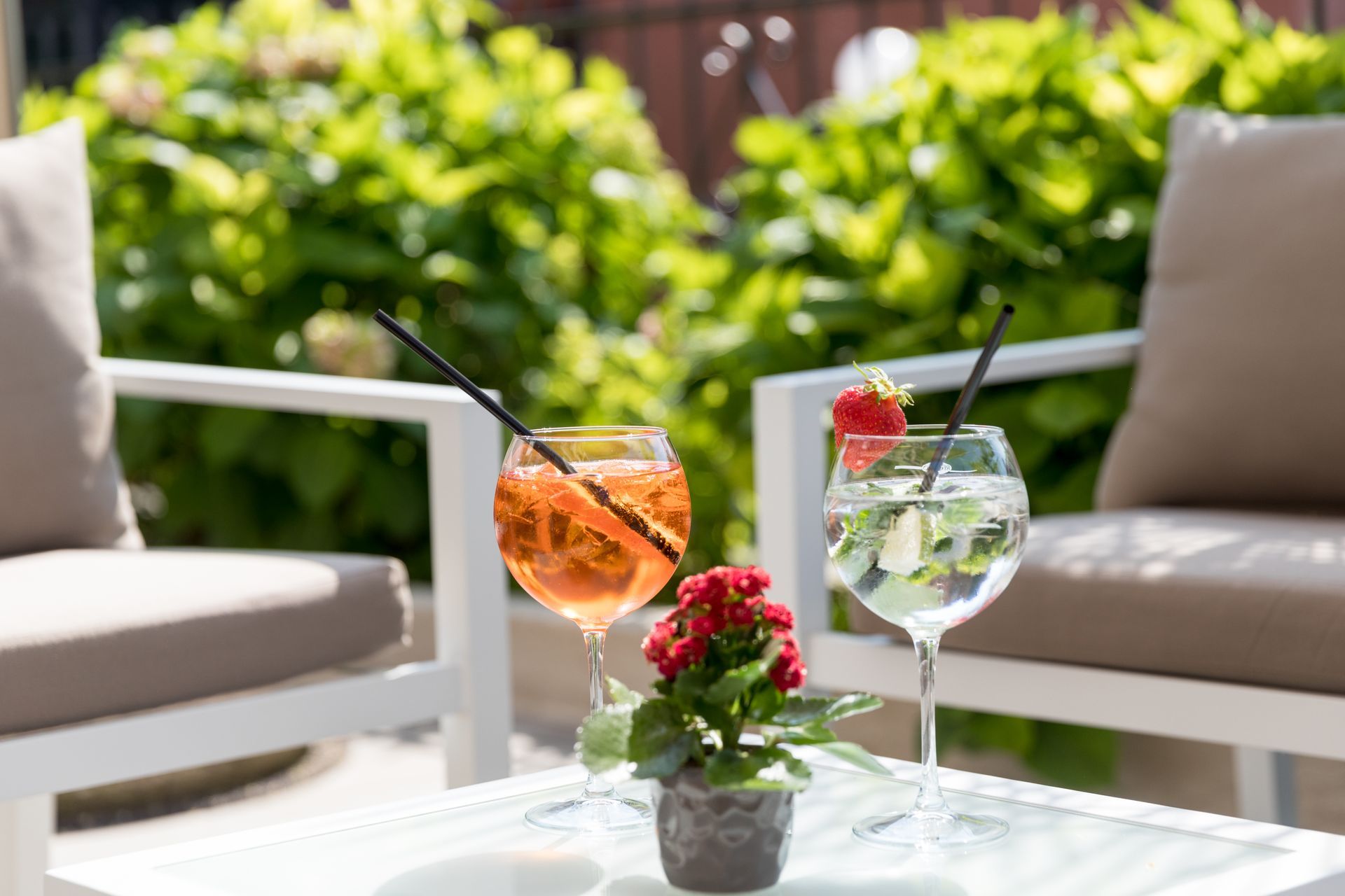 Two cocktails on a glass table between white chairs in a sunny garden patio
