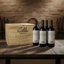 Gran Enemigo Gualtallary x 6