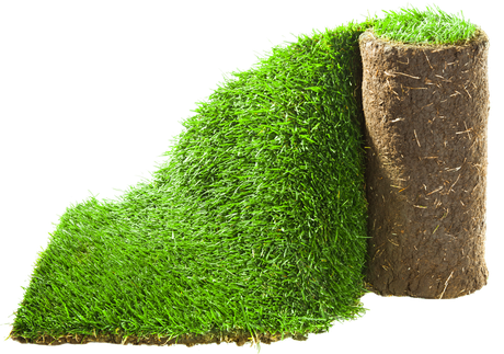 A roll of green grass on a white background