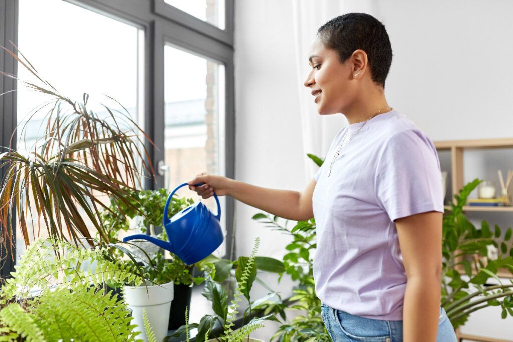 Filtered water is better for plants