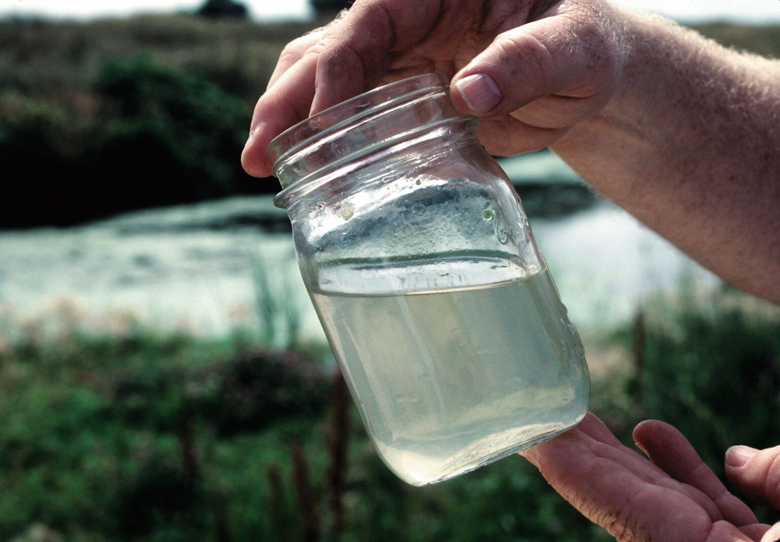 holding a jar of water