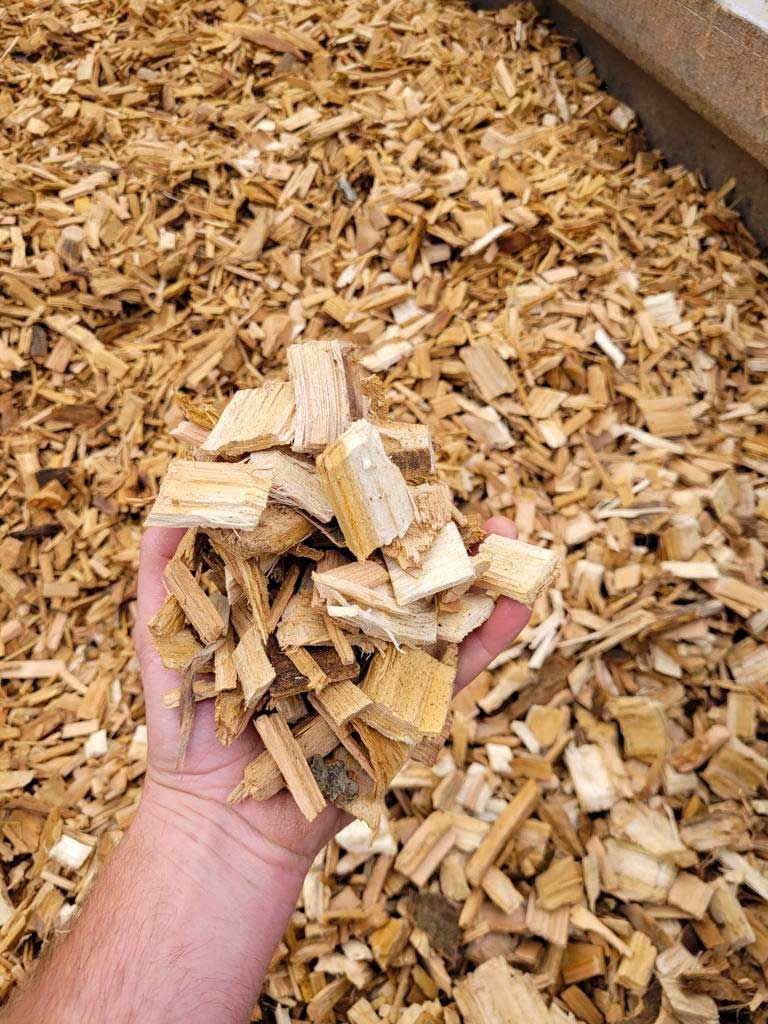 Immagine con una mano che solleva del cippato