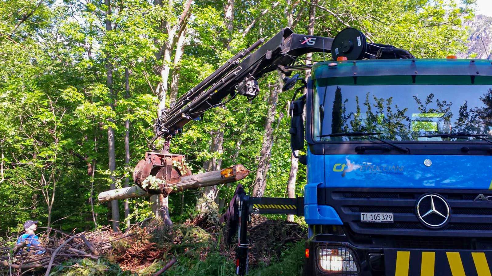 Un camion mercedes blu carica, con una gru, della legna nel bosco.