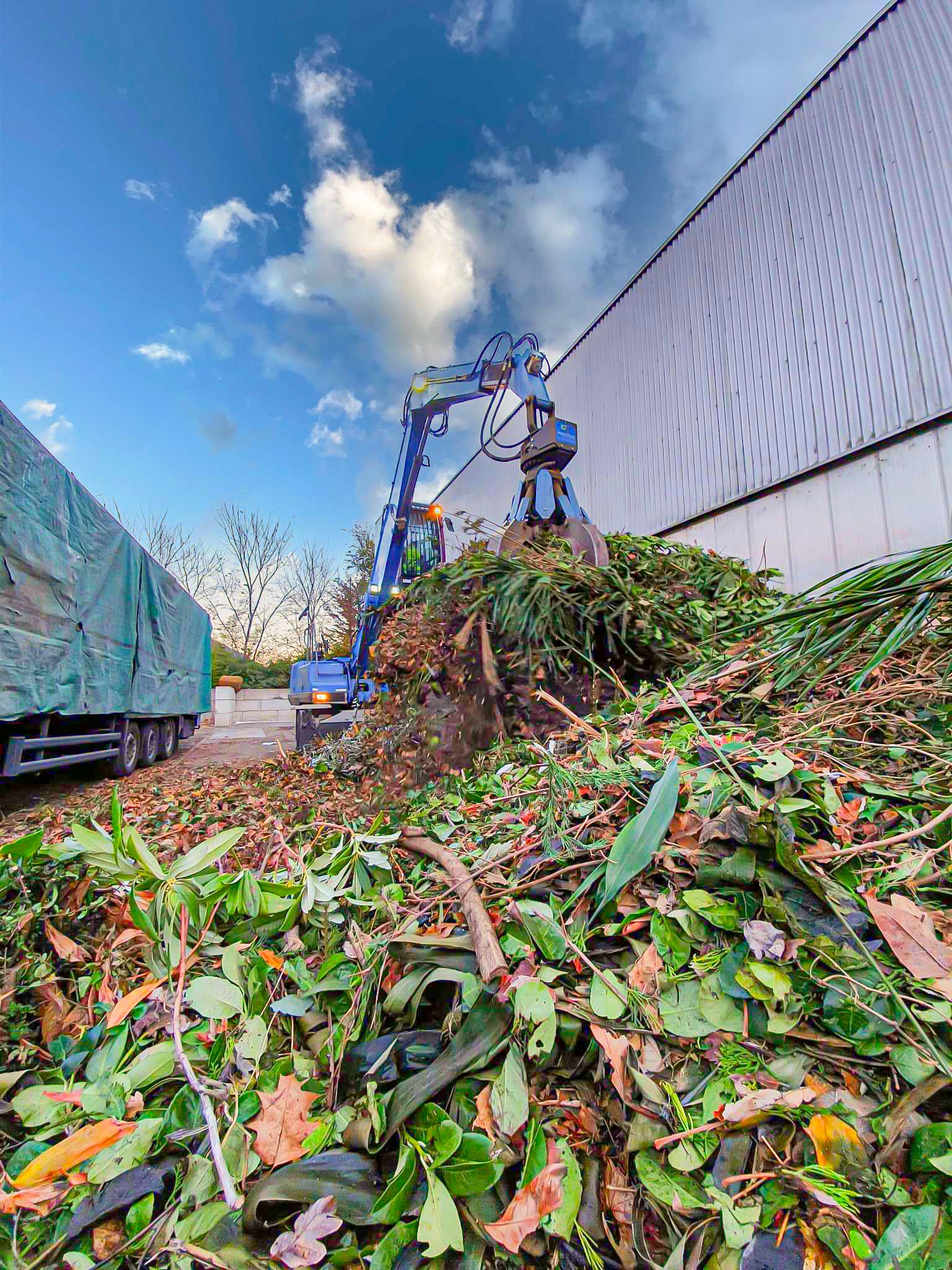 Una gru carica un mucchio di foglie su un camion.