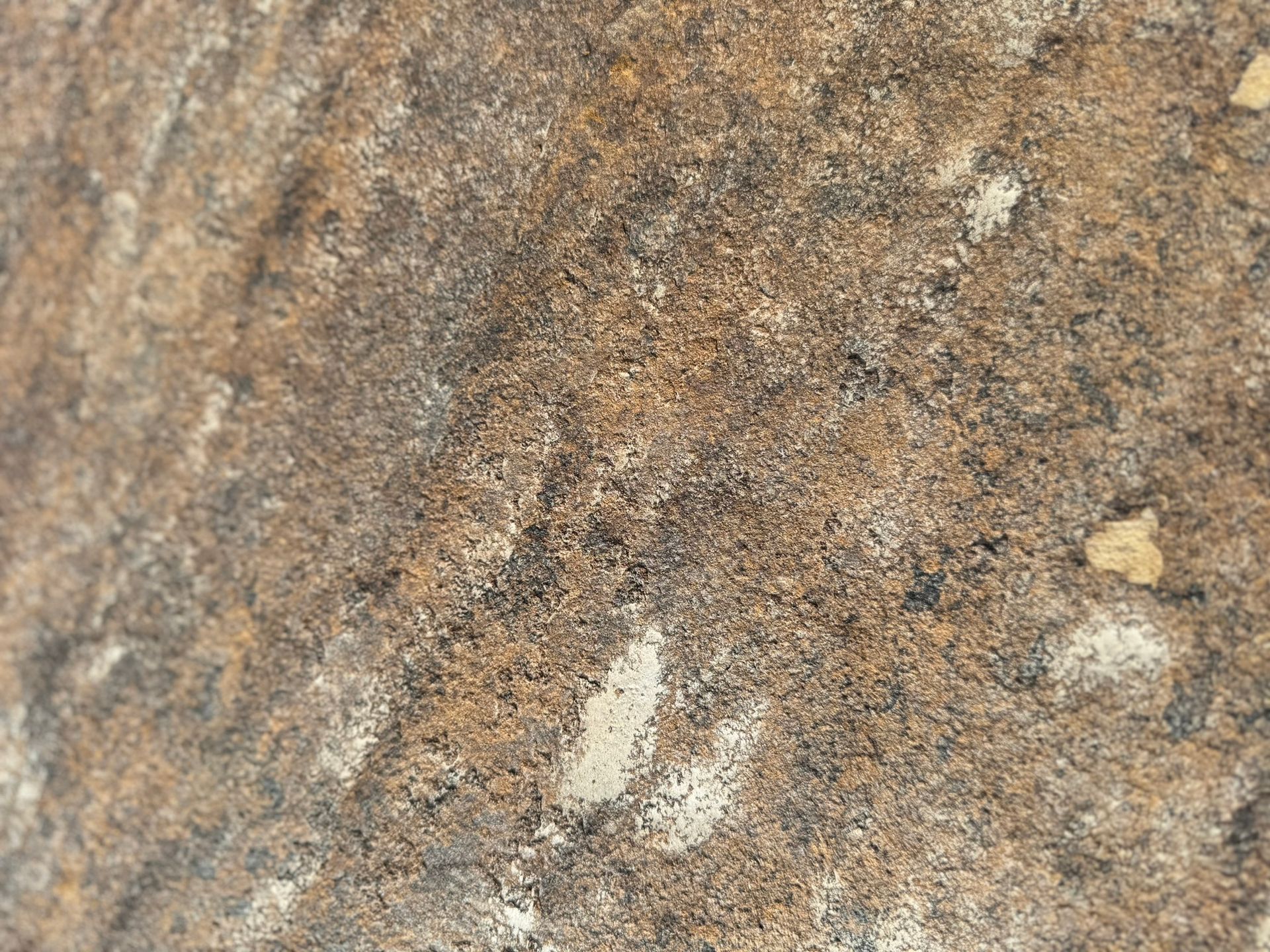 A close up of a rock with a lot of small stones on it.