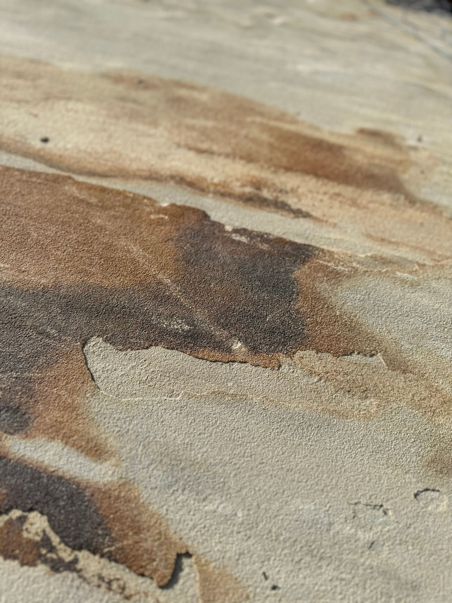 A close up of a pile of sand on a beach.