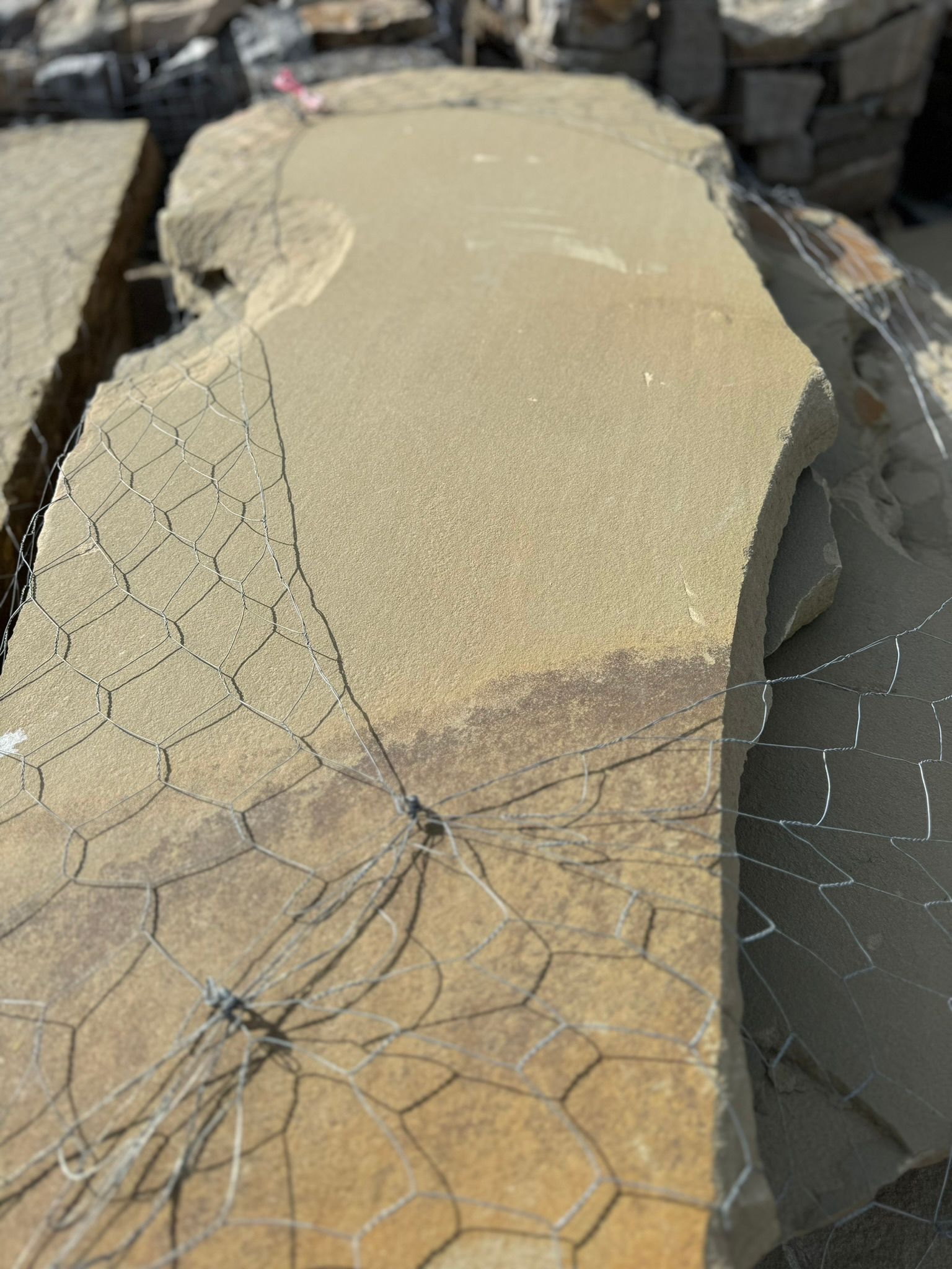 A close up of a piece of rock with a spider web on it.