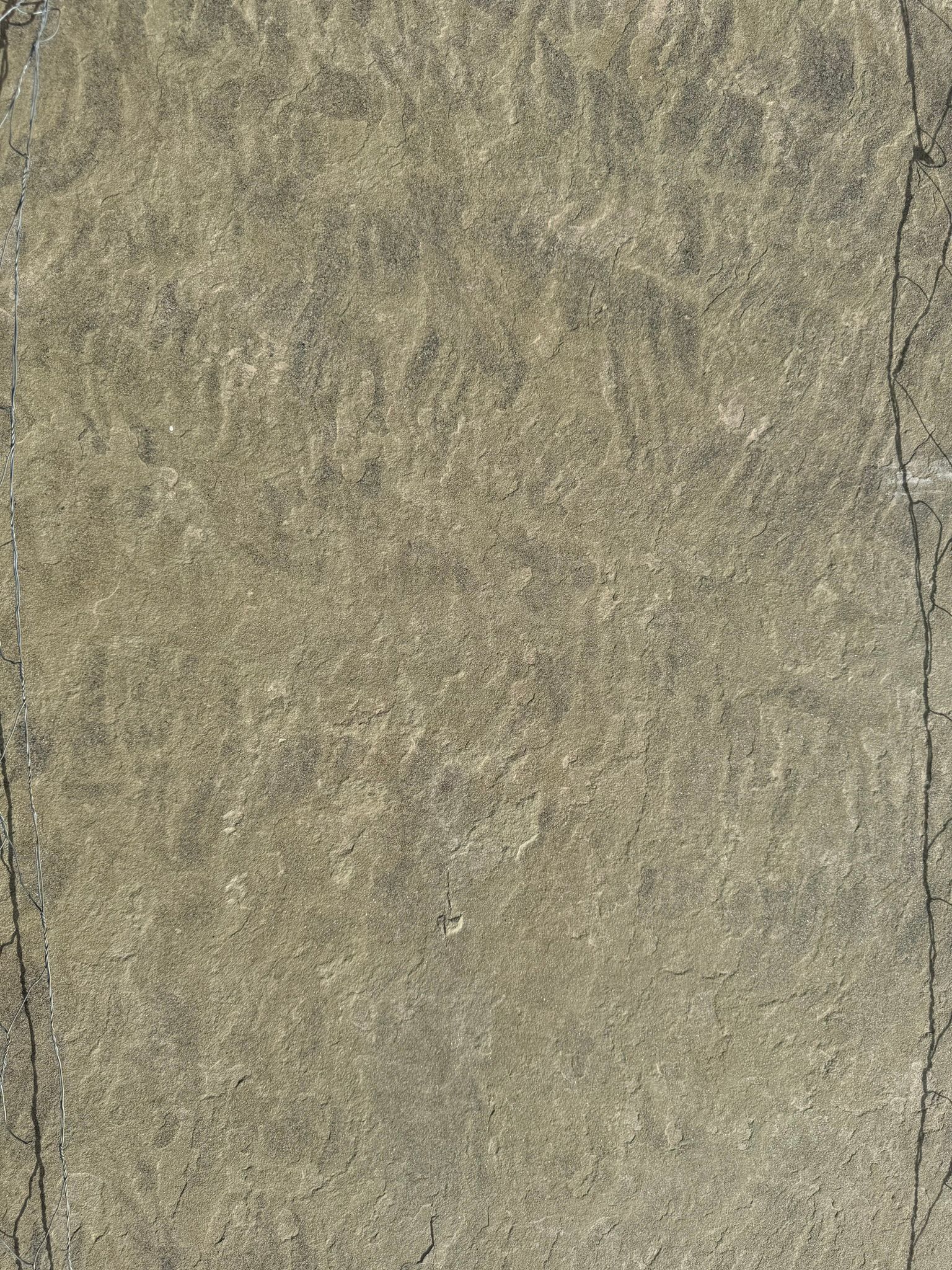 A close up of a concrete surface with a grainy texture.