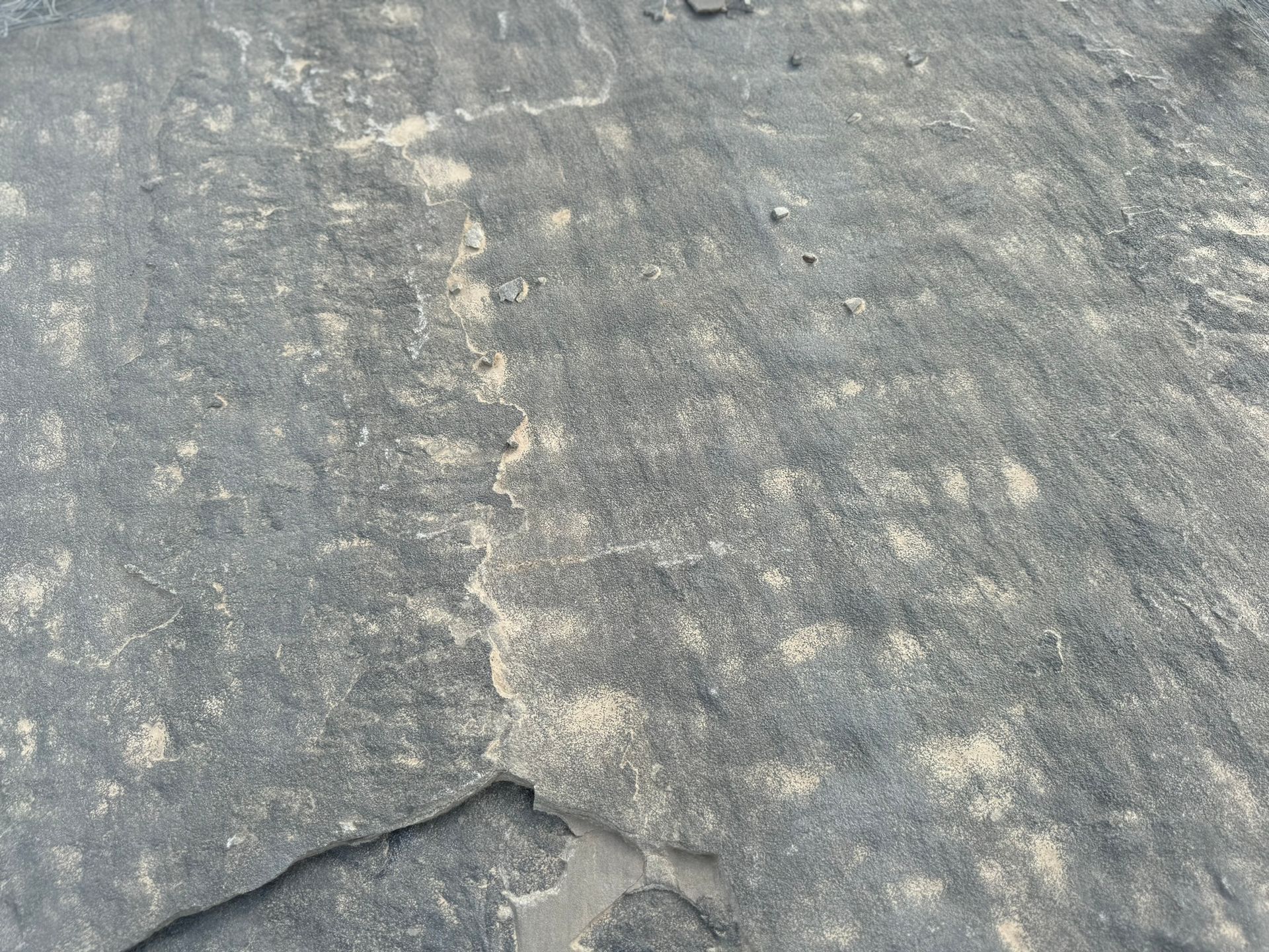 A close up of a gray concrete surface with a few white spots on it