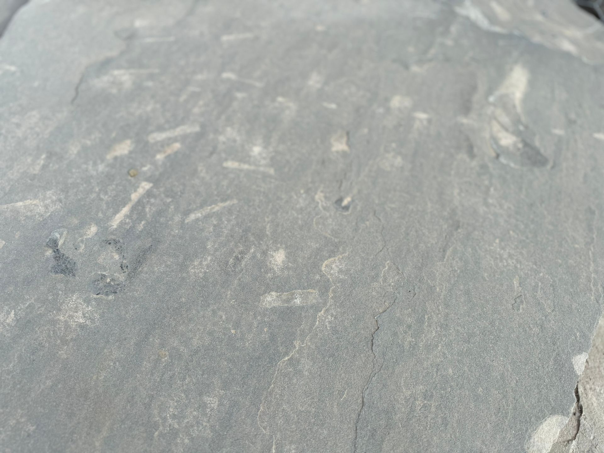 A close up of a tire with a lot of dust on it.