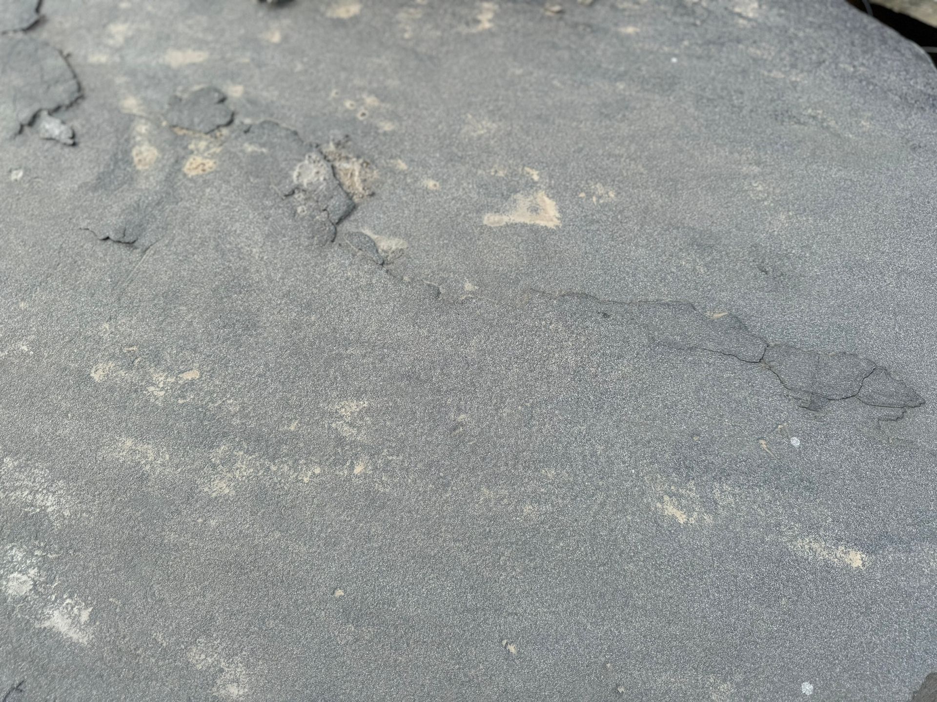 A close up of a rock with a lot of small stones on it.