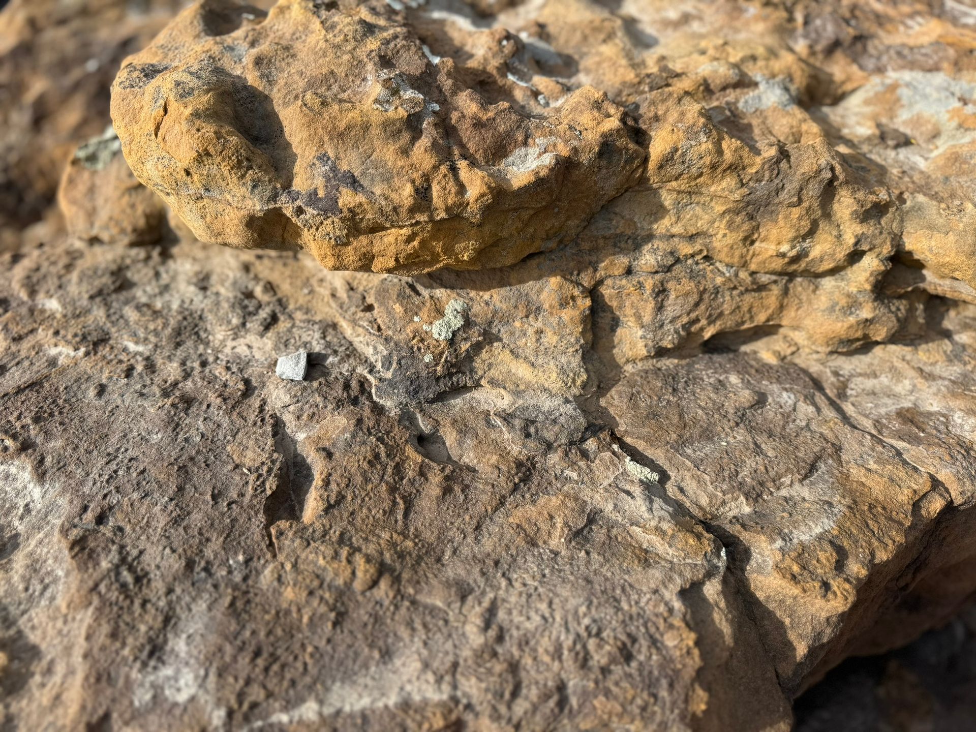 A close up of a rock with a lot of holes in it