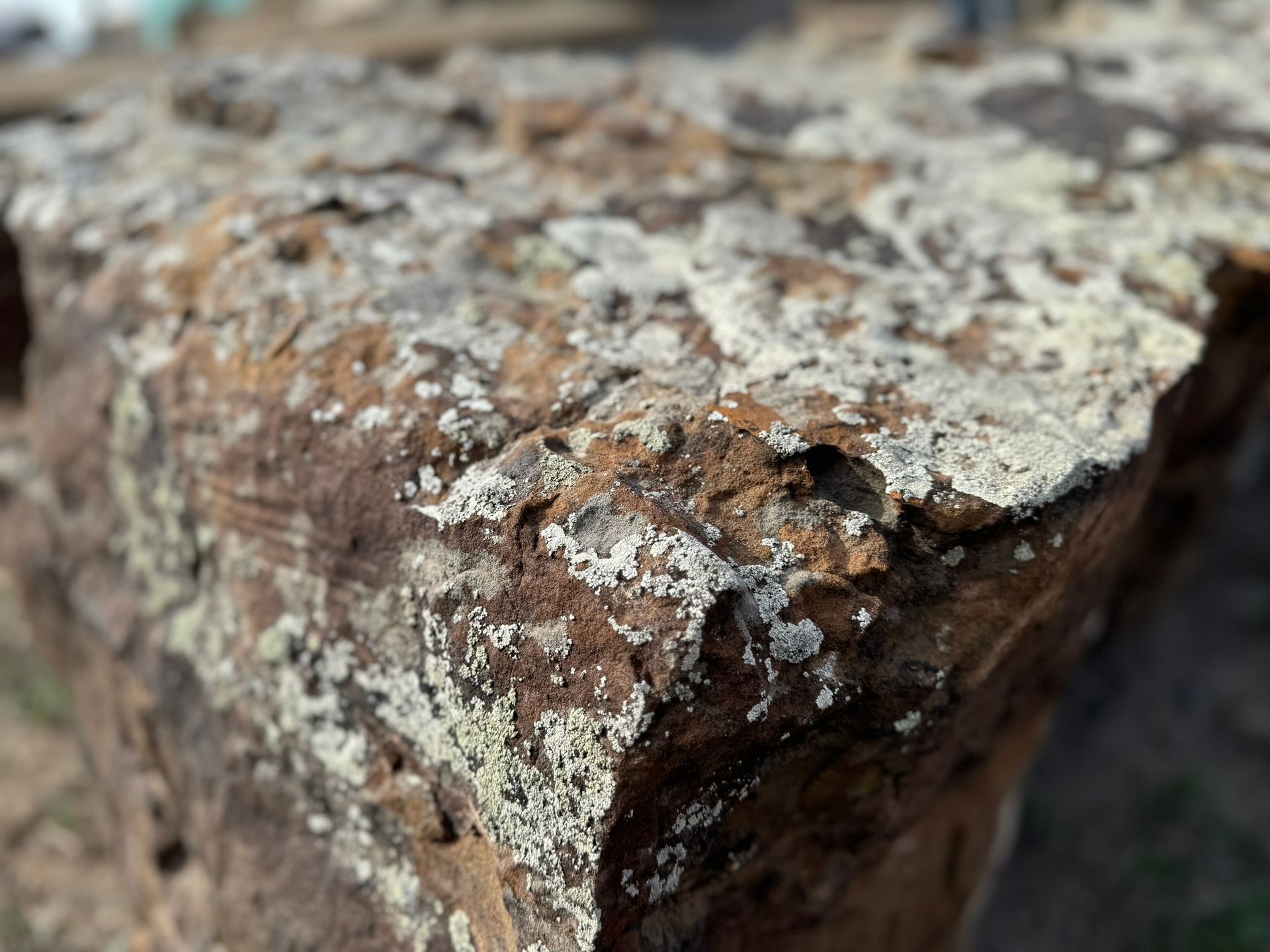 A close up of a rock with moss on it.