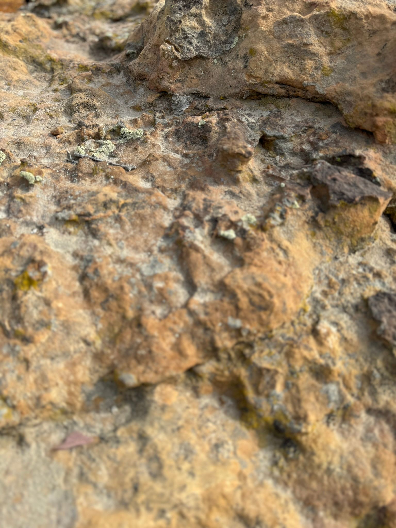 A close up of a rock with a lot of rocks and dirt on it.