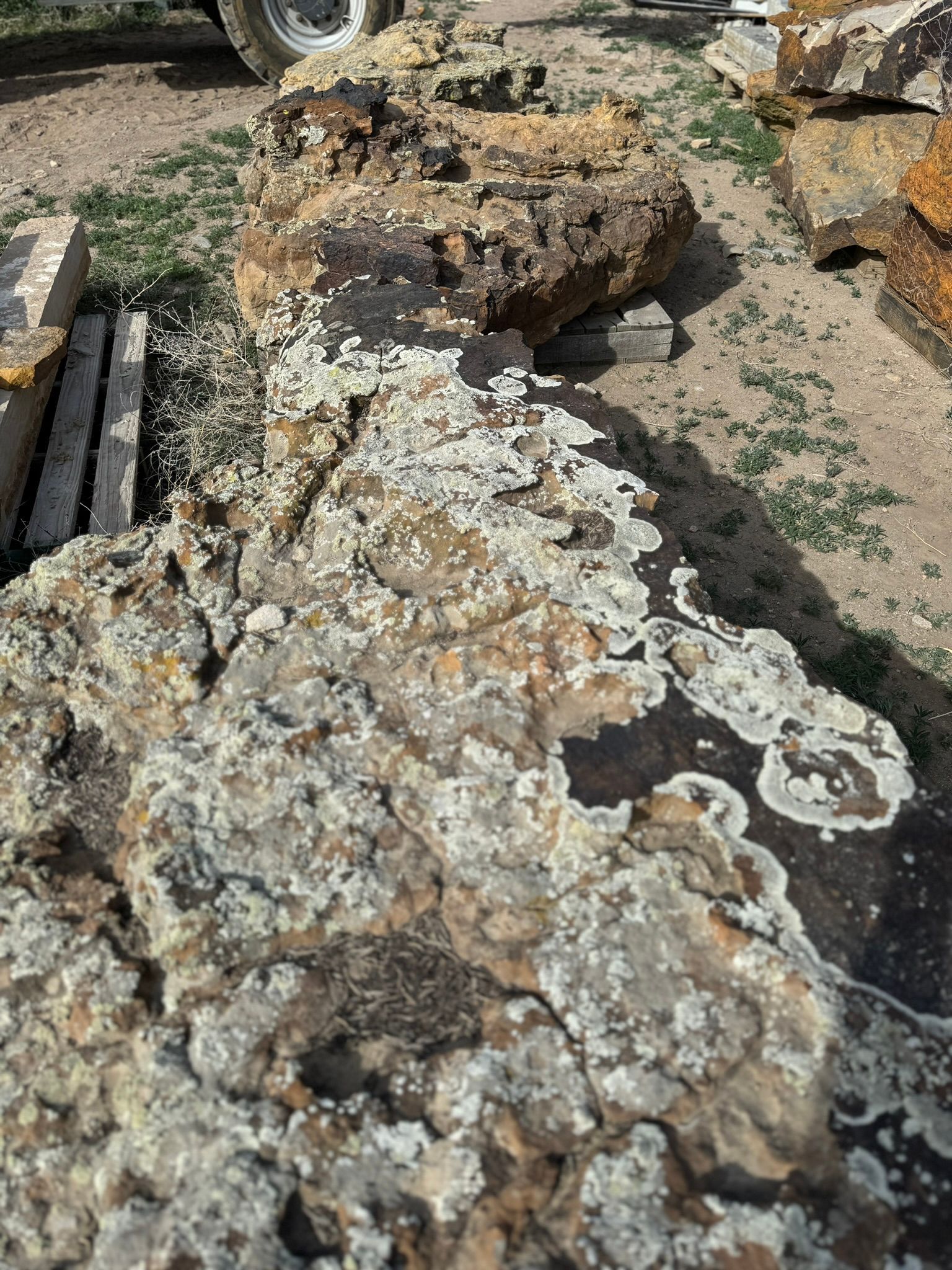 A large rock with a lot of moss on it is sitting on the ground.