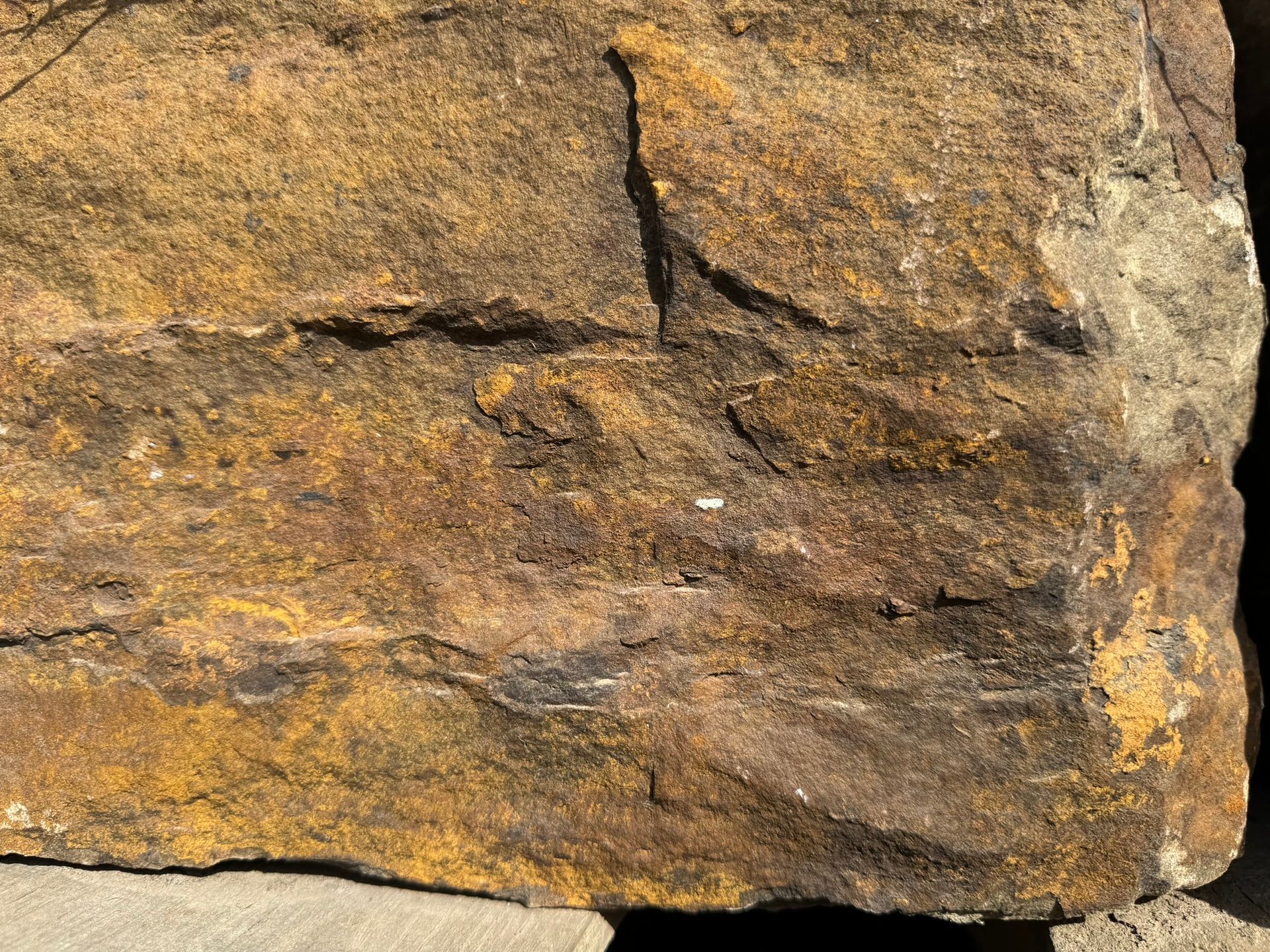 A close up of a large rock sitting on top of a concrete surface.