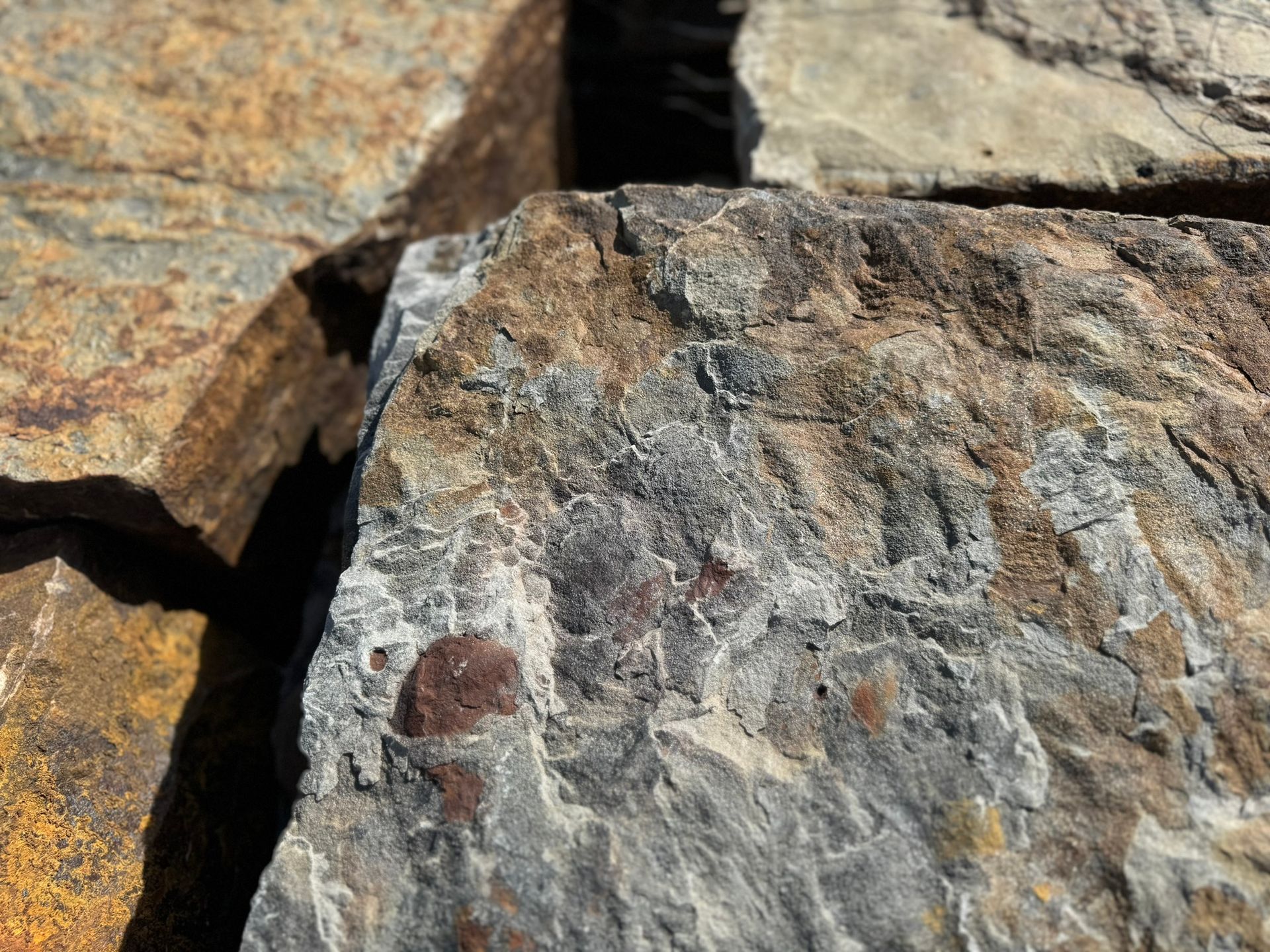 A close up of a rock with a hole in it.