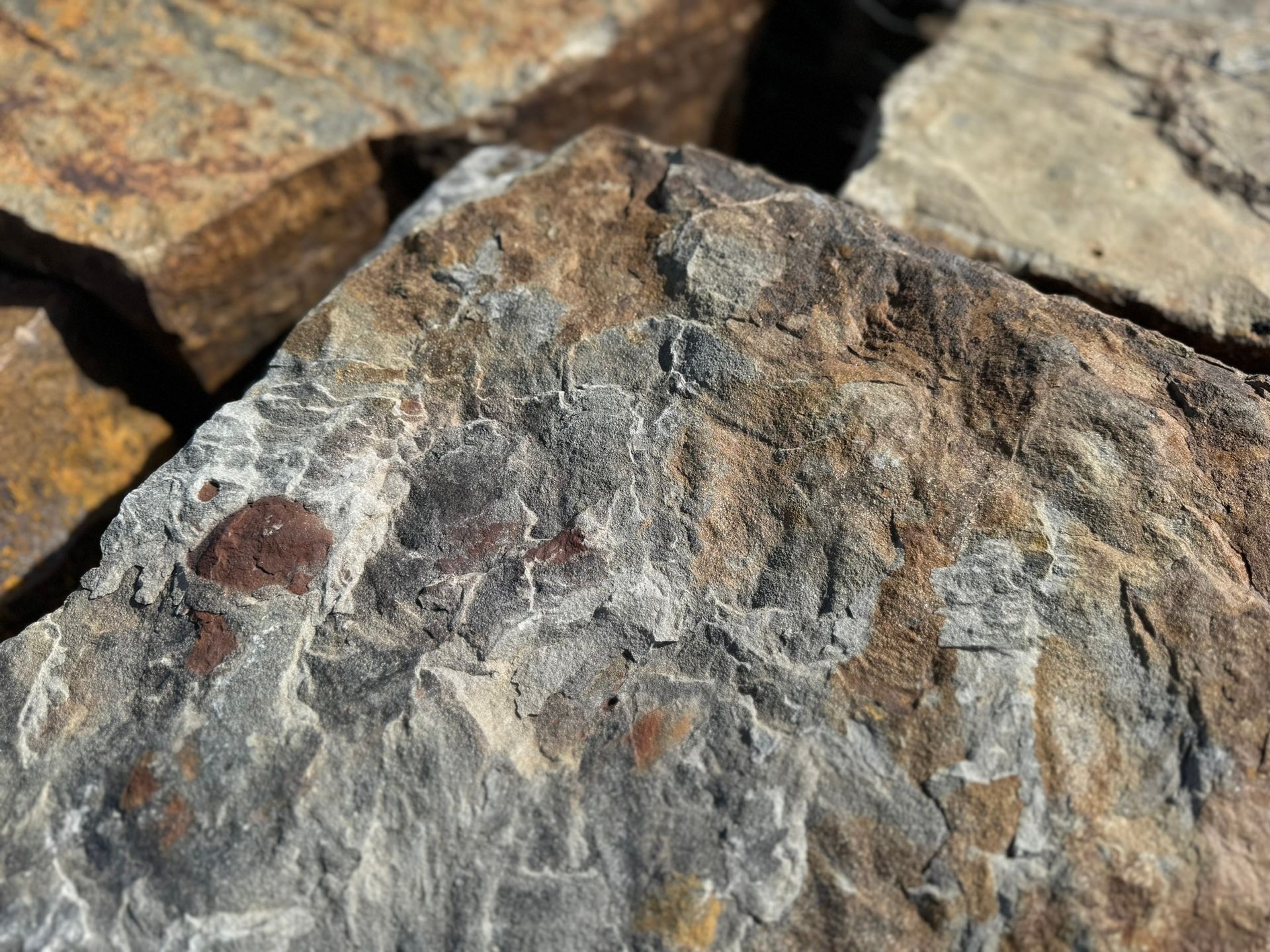 A close up of a rock with a lot of texture