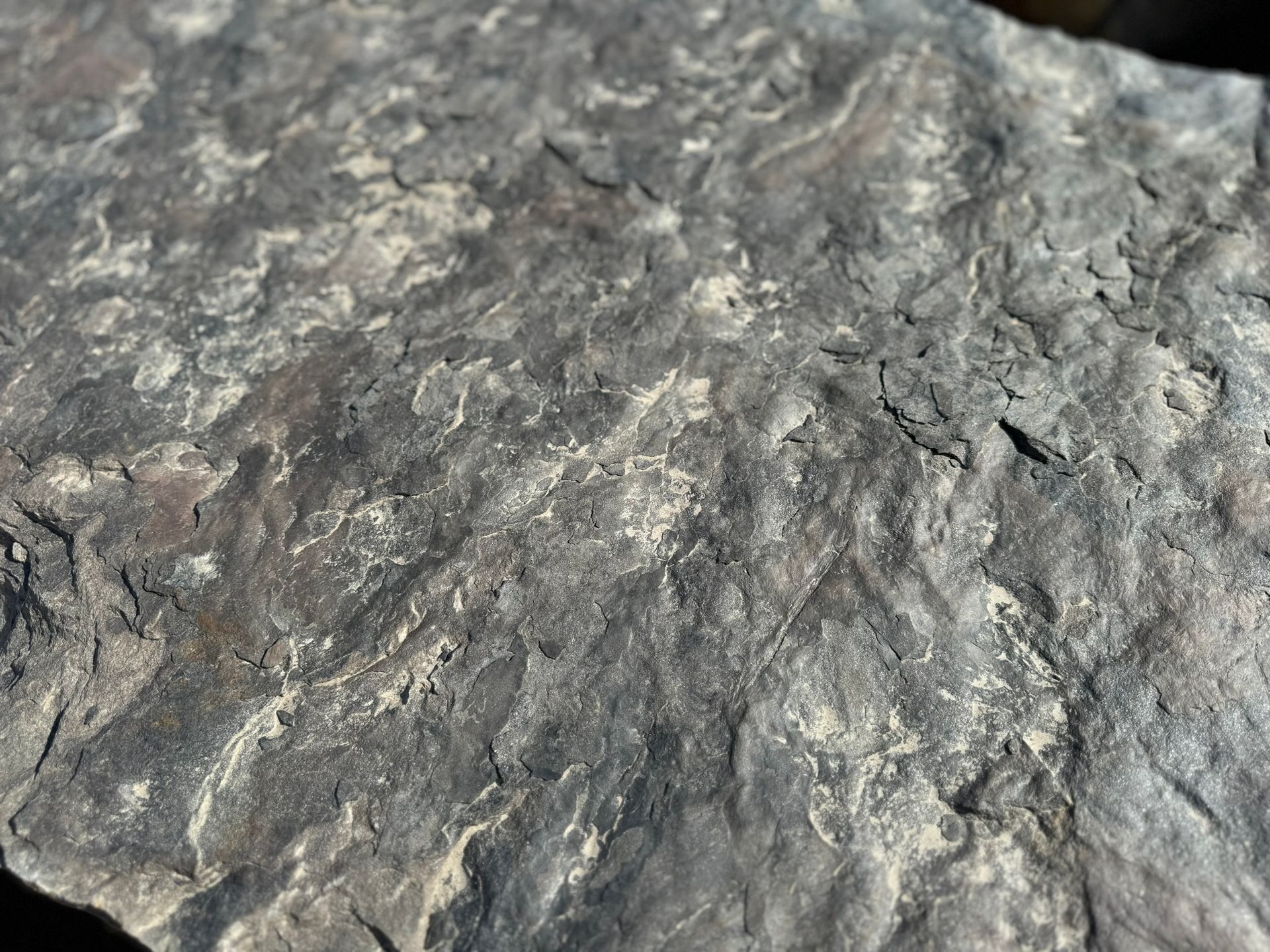 A close up of a rock with a gray and white texture.