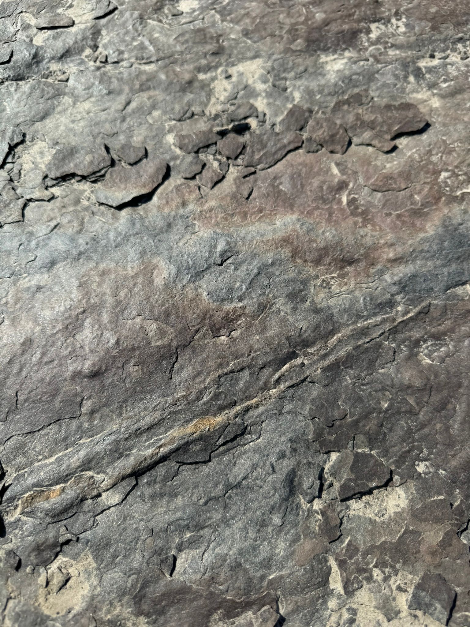 a close up of a cracked concrete wall