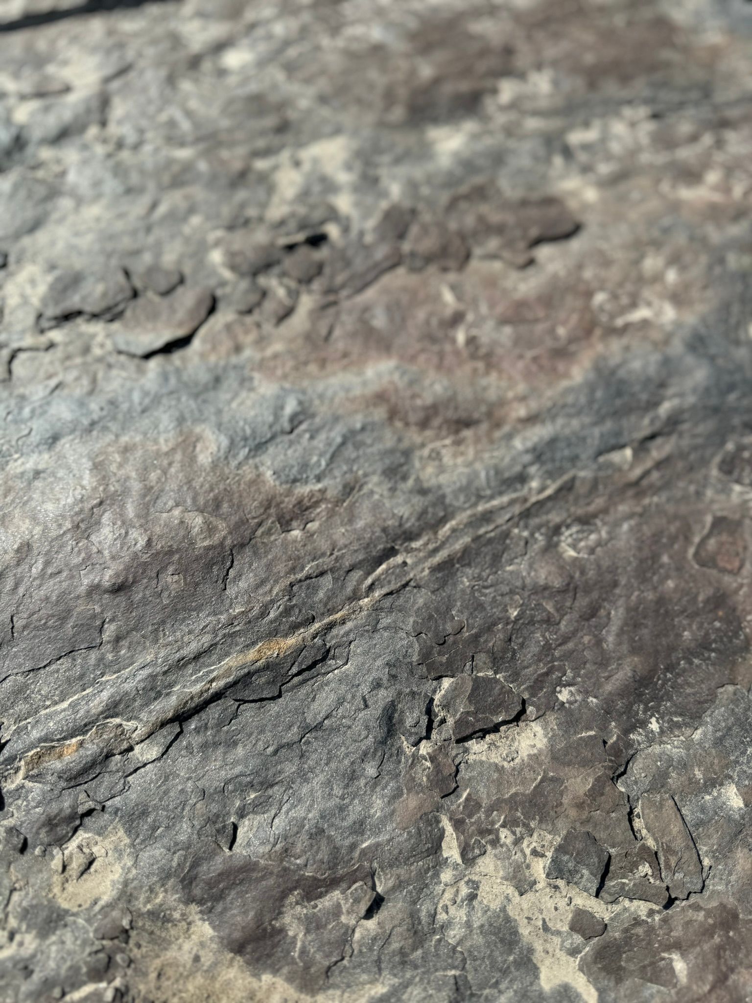 A close up of a rock texture that looks like wood.