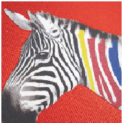 CAD-COLOR SOLVENT FLOCK