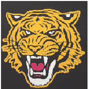 CAD-CUT FLOCK – FLOCK NEON