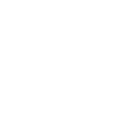 Fly-99 Romeo logo