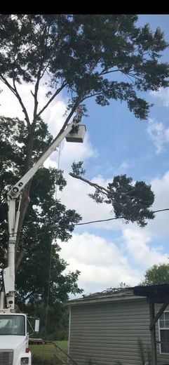 A crane is cutting a tree in front of a house.