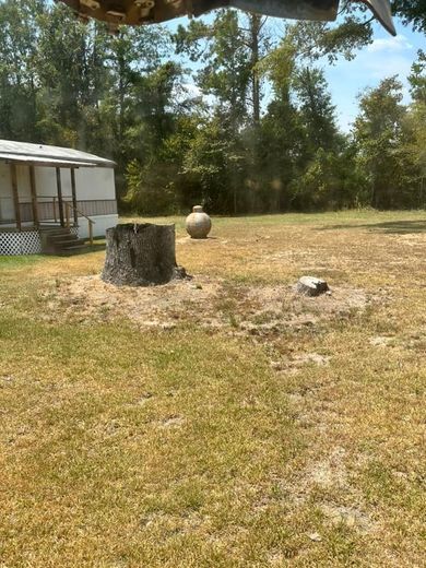 A stump in the middle of a grassy field with a house in the background.