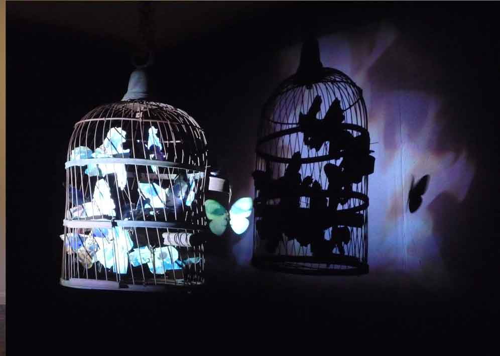 A 3d fine art installation involving a cage which is peopled with butterflies painted as mini portraits, by artist Evelyn Sinclair, based in Kendal, Cumbria in the Lake District.