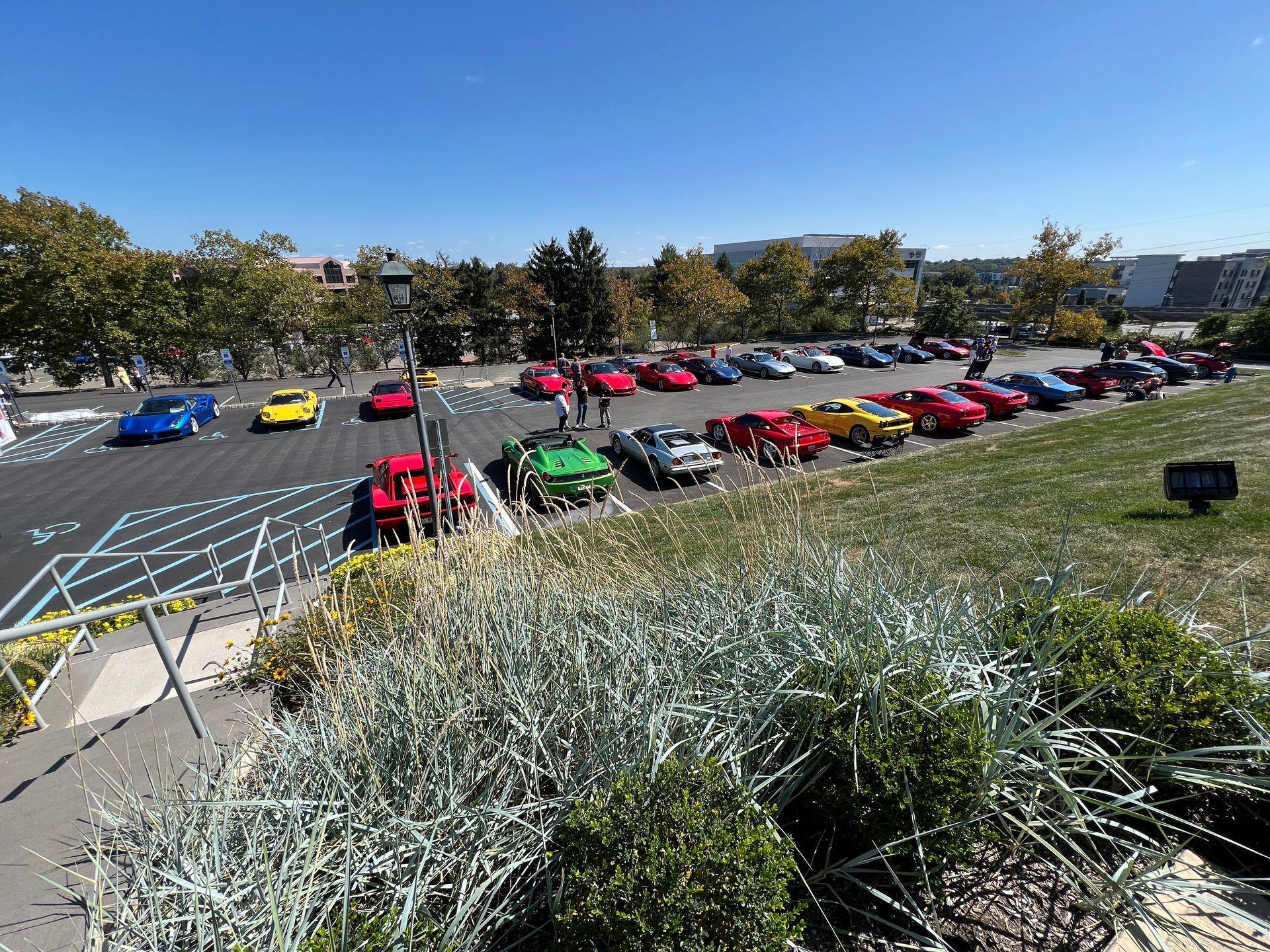 A row of cars are parked in a parking lot