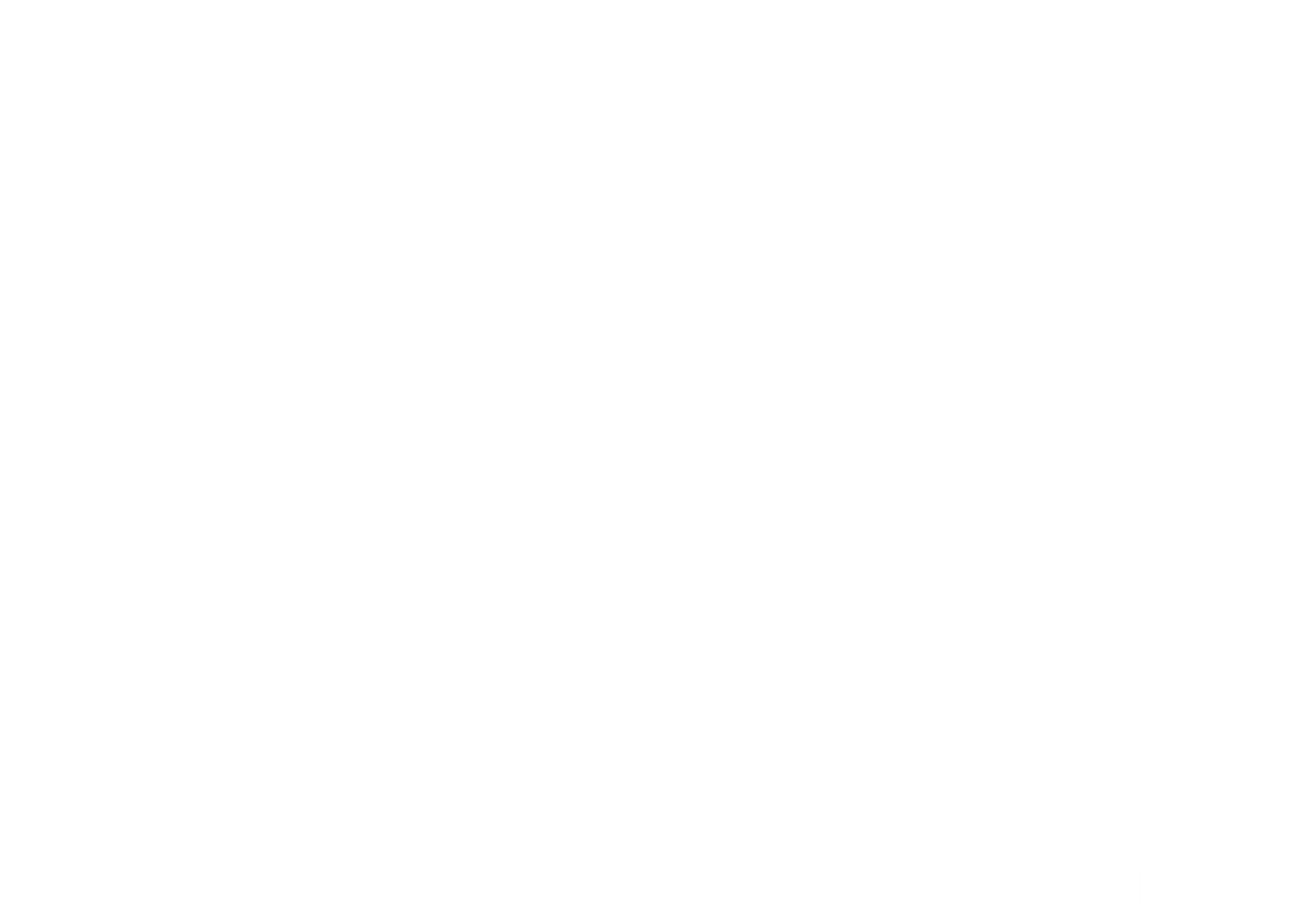 South Jersey Paint Protection