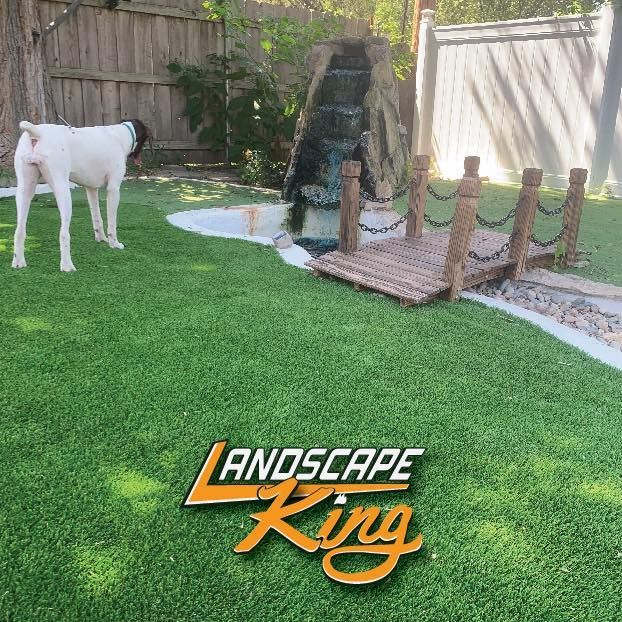 White dog stands in a backyard with a waterfall, bridge, and green turf; 